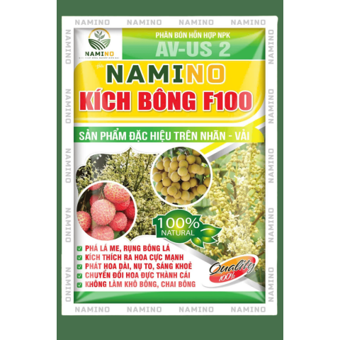 KÍCH BÔNG F100