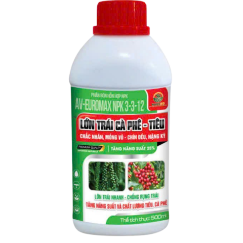 LỚN TRÁI CÀ PHÊ - TIÊU 