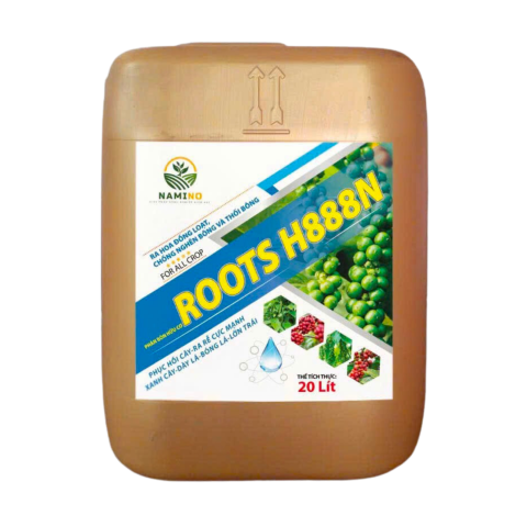 ROOTS H888N