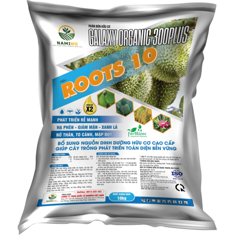 ROOTS 10