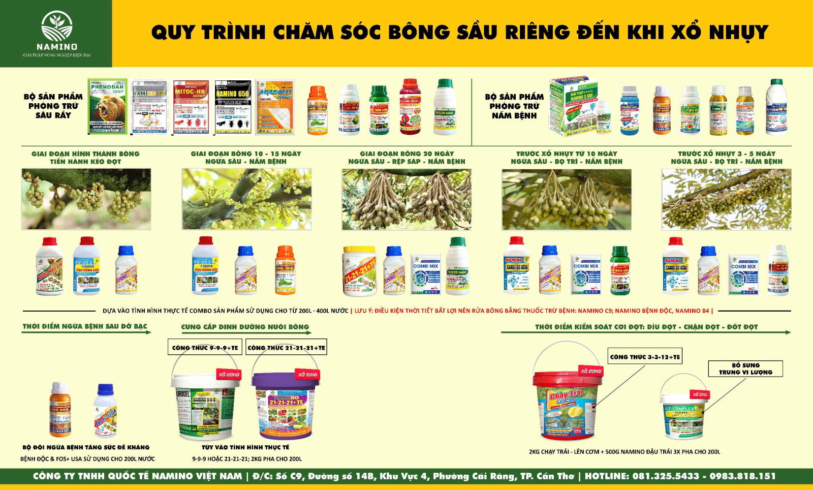 Quy trình chăm sóc bông sầu riêng đến xổ nhụy