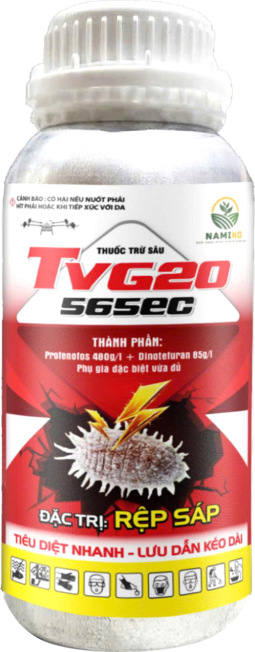 TVG20 565EC 